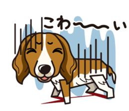 iinu - Kooikerhondje sticker #10418674