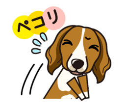 iinu - Kooikerhondje sticker #10418675