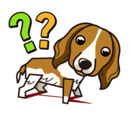 iinu - Kooikerhondje sticker #10418676