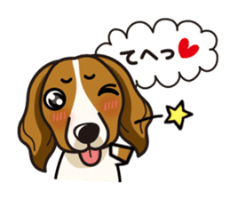 iinu - Kooikerhondje sticker #10418677
