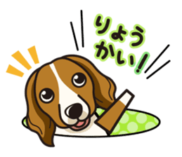 iinu - Kooikerhondje sticker #10418678