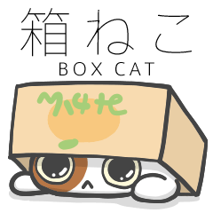 ORANGE BOX CAT