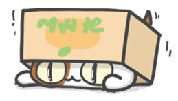 ORANGE BOX CAT sticker #10419086