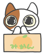 ORANGE BOX CAT sticker #10419090