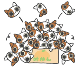 ORANGE BOX CAT sticker #10419114