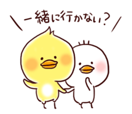 2 birds of cute chick Sticker.2 sticker #10420580