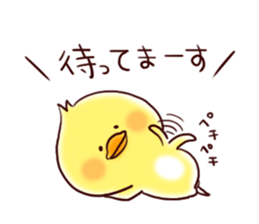 2 birds of cute chick Sticker.2 sticker #10420583