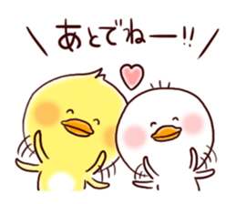 2 birds of cute chick Sticker.2 sticker #10420585