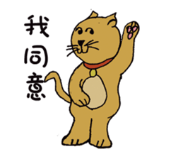 Teaching Material Cat sticker #10421083