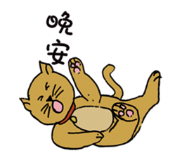 Teaching Material Cat sticker #10421118