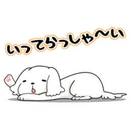 Momoko is Maltese. sticker #10421921
