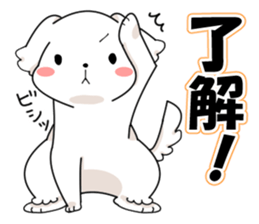 Momoko is Maltese. sticker #10421922