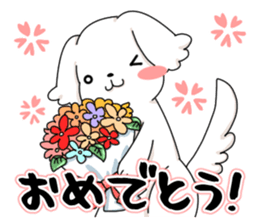 Momoko is Maltese. sticker #10421924