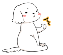 Momoko is Maltese. sticker #10421926