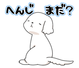 Momoko is Maltese. sticker #10421927