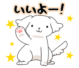 Momoko is Maltese. sticker #10421931