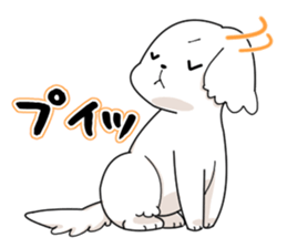 Momoko is Maltese. sticker #10421934