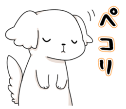 Momoko is Maltese. sticker #10421937