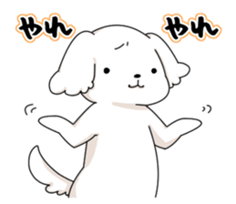 Momoko is Maltese. sticker #10421950