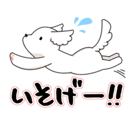Momoko is Maltese. sticker #10421954
