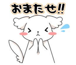 Momoko is Maltese. sticker #10421955