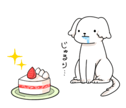 Momoko is Maltese. sticker #10421957