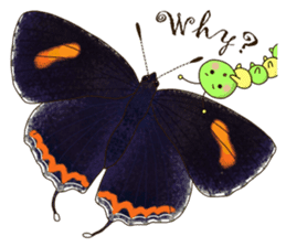 Butterflies of Taiwan & Caterpillar sticker #10424440