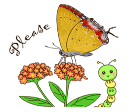 Butterflies of Taiwan & Caterpillar sticker #10424441