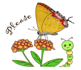 Butterflies of Taiwan & Caterpillar sticker #10424441