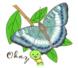 Butterflies of Taiwan & Caterpillar sticker #10424443