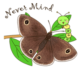 Butterflies of Taiwan & Caterpillar sticker #10424445