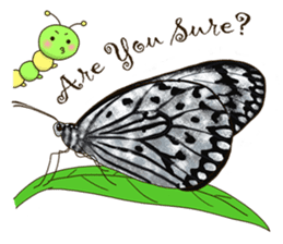 Butterflies of Taiwan & Caterpillar sticker #10424446
