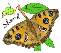 Butterflies of Taiwan & Caterpillar sticker #10424447