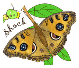 Butterflies of Taiwan & Caterpillar sticker #10424447