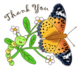 Butterflies of Taiwan & Caterpillar sticker #10424448