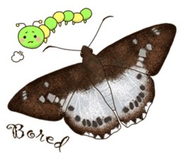 Butterflies of Taiwan & Caterpillar sticker #10424449