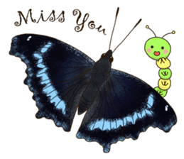 Butterflies of Taiwan & Caterpillar sticker #10424450