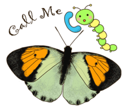 Butterflies of Taiwan & Caterpillar sticker #10424452