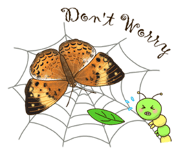 Butterflies of Taiwan & Caterpillar sticker #10424454