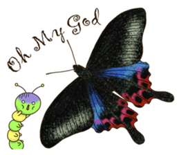 Butterflies of Taiwan & Caterpillar sticker #10424455