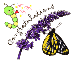 Butterflies of Taiwan & Caterpillar sticker #10424457