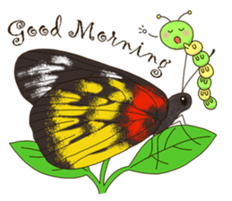 Butterflies of Taiwan & Caterpillar sticker #10424458