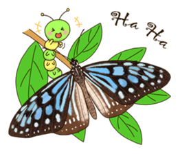 Butterflies of Taiwan & Caterpillar sticker #10424459