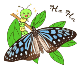 Butterflies of Taiwan & Caterpillar sticker #10424459