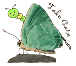 Butterflies of Taiwan & Caterpillar sticker #10424461
