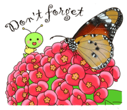 Butterflies of Taiwan & Caterpillar sticker #10424462