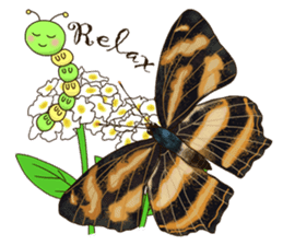 Butterflies of Taiwan & Caterpillar sticker #10424463
