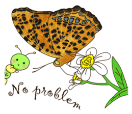 Butterflies of Taiwan & Caterpillar sticker #10424465