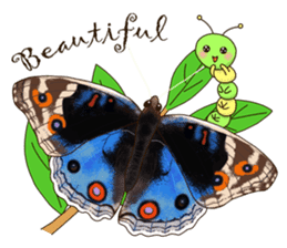 Butterflies of Taiwan & Caterpillar sticker #10424466
