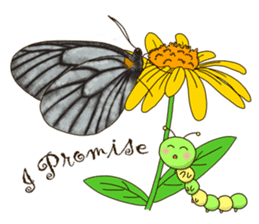 Butterflies of Taiwan & Caterpillar sticker #10424467